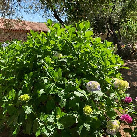 Hotel Valkarana Country Relais (Adults Only) Sant'Antonio di Gallura Εξωτερικό φωτογραφία