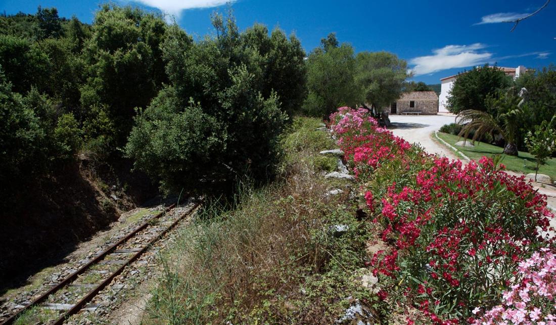 Hotel Valkarana Country Relais (Adults Only) Sant'Antonio di Gallura Εξωτερικό φωτογραφία
