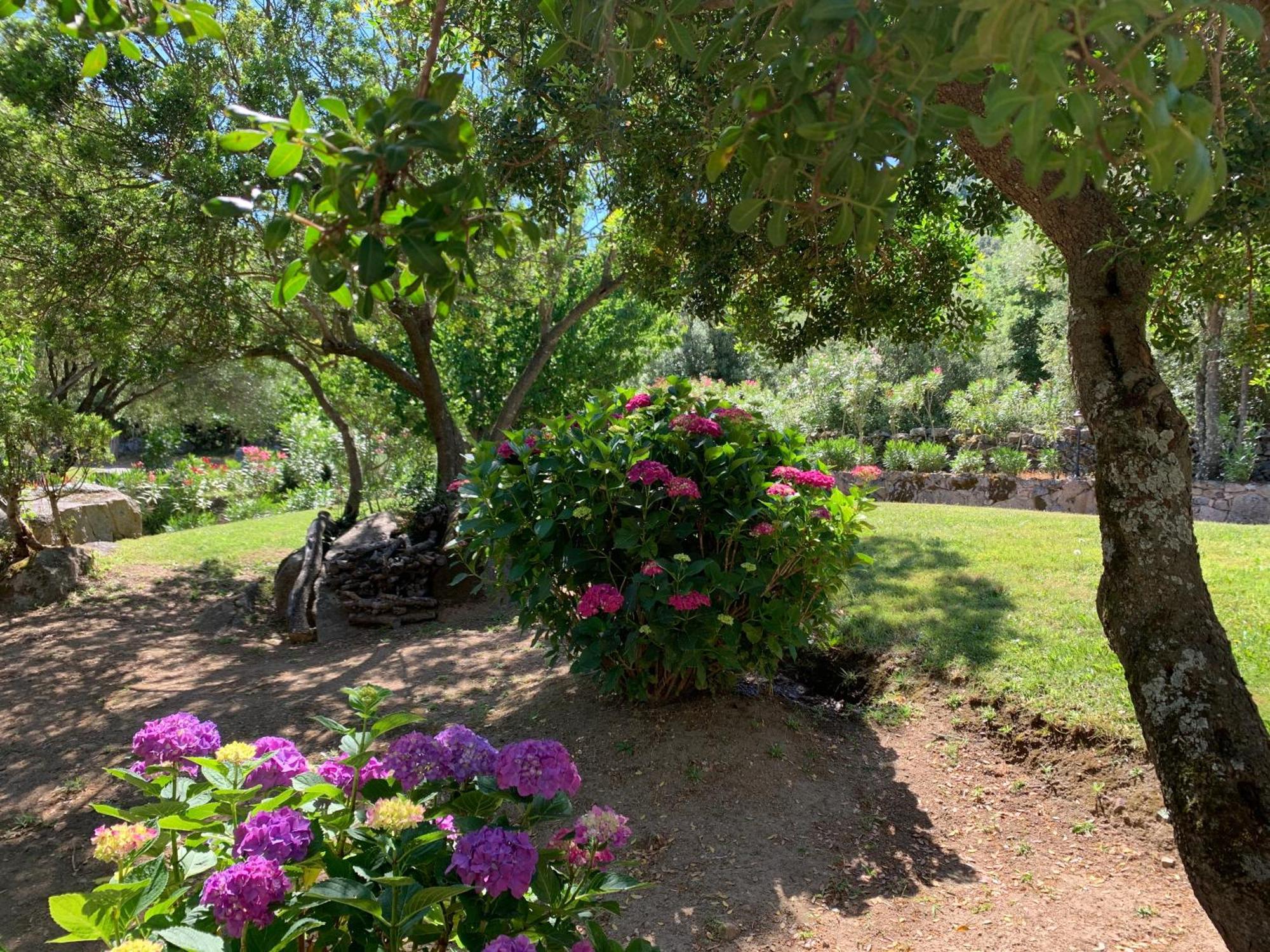 Hotel Valkarana Country Relais (Adults Only) Sant'Antonio di Gallura Εξωτερικό φωτογραφία