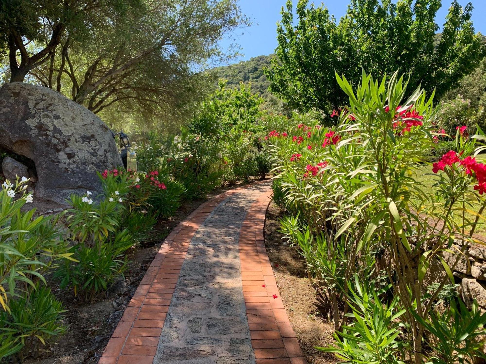 Hotel Valkarana Country Relais (Adults Only) Sant'Antonio di Gallura Εξωτερικό φωτογραφία